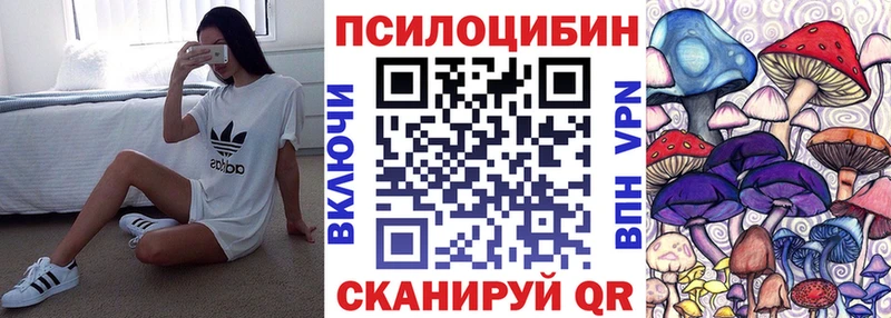 Купить где  Зеленодольск  Галлюциногенные грибы GOLDEN TEACHER 